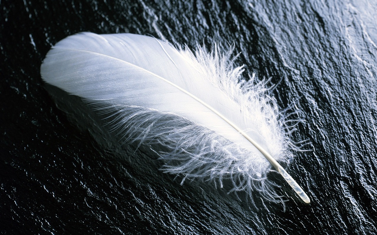 feather-967367_1280